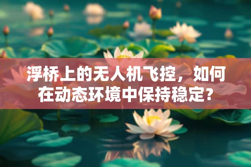 浮桥上的无人机飞控，如何在动态环境中保持稳定？