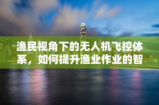 渔民视角下的无人机飞控体系，如何提升渔业作业的智能化与安全性？