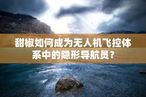 甜椒如何成为无人机飞控体系中的隐形导航员？