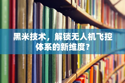 黑米技术，解锁无人机飞控体系的新维度？