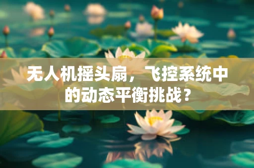 无人机摇头扇，飞控系统中的动态平衡挑战？