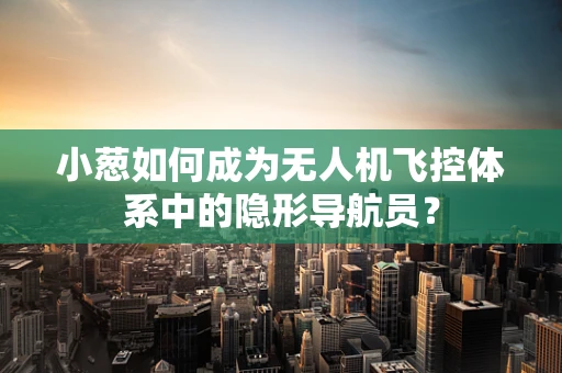 小葱如何成为无人机飞控体系中的隐形导航员？