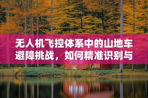 无人机飞控体系中的山地车避障挑战，如何精准识别与应对？