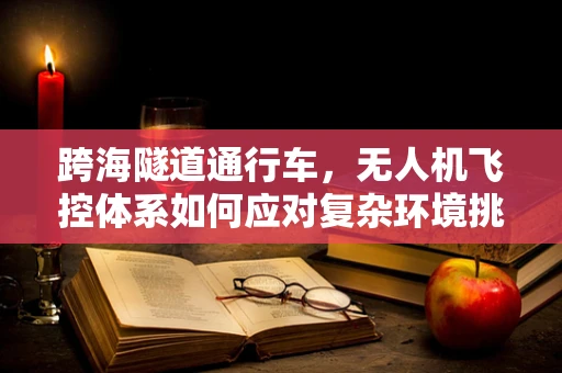 跨海隧道通行车，无人机飞控体系如何应对复杂环境挑战？