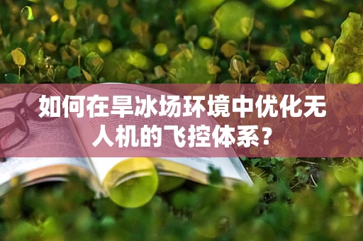 如何在旱冰场环境中优化无人机的飞控体系？