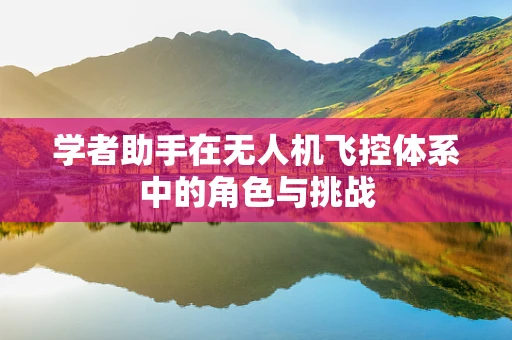 学者助手在无人机飞控体系中的角色与挑战