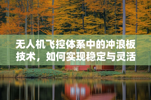 无人机飞控体系中的冲浪板技术，如何实现稳定与灵活的完美平衡？