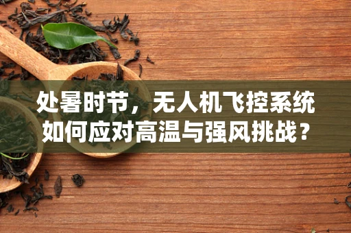 处暑时节，无人机飞控系统如何应对高温与强风挑战？