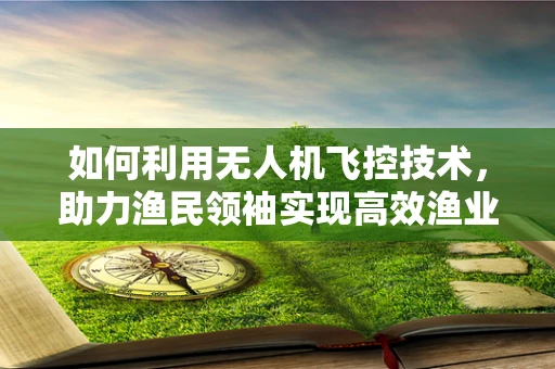 如何利用无人机飞控技术，助力渔民领袖实现高效渔业管理？