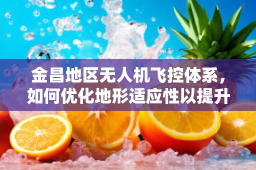 金昌地区无人机飞控体系，如何优化地形适应性以提升飞行效率？