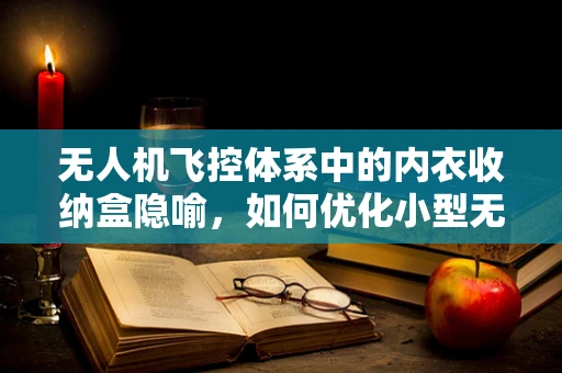 无人机飞控体系中的内衣收纳盒隐喻，如何优化小型无人机载荷空间利用？