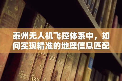 泰州无人机飞控体系中，如何实现精准的地理信息匹配？