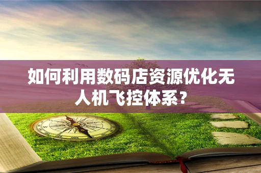 如何利用数码店资源优化无人机飞控体系？