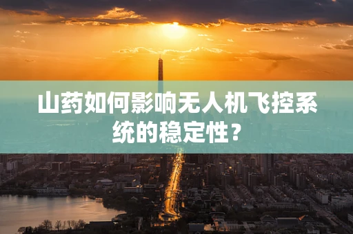 山药如何影响无人机飞控系统的稳定性？