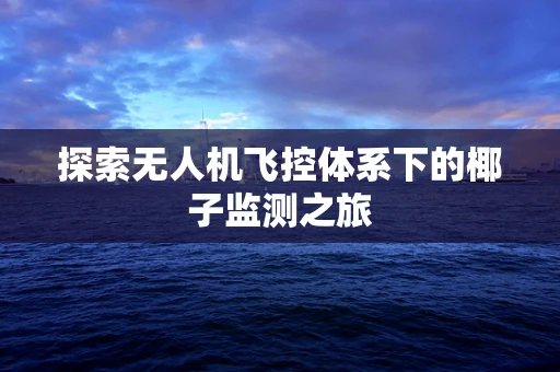 探索无人机飞控体系下的椰子监测之旅