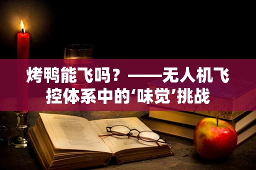 烤鸭能飞吗？——无人机飞控体系中的‘味觉’挑战