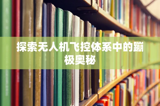 探索无人机飞控体系中的蹦极奥秘