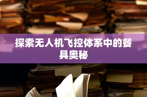 探索无人机飞控体系中的餐具奥秘