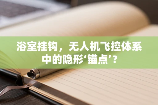 浴室挂钩，无人机飞控体系中的隐形‘锚点’？