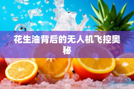 花生油背后的无人机飞控奥秘