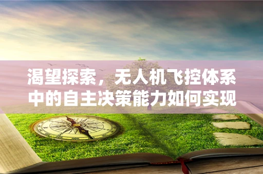 渴望探索，无人机飞控体系中的自主决策能力如何实现？