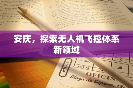 安庆，探索无人机飞控体系新领域