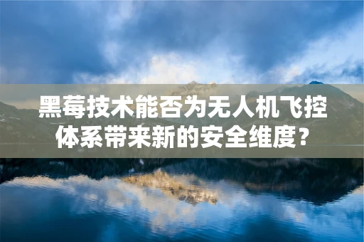 黑莓技术能否为无人机飞控体系带来新的安全维度？